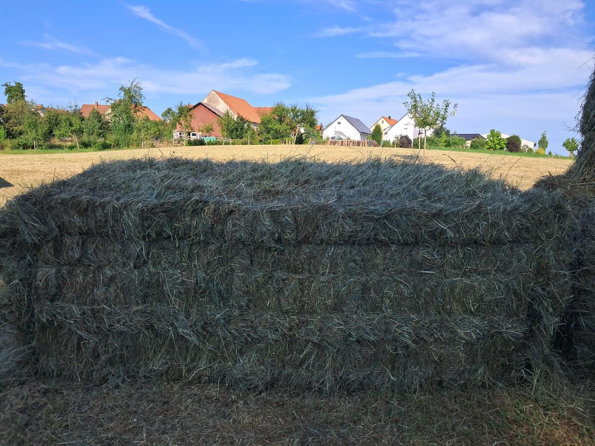 Heu und Grummet - Ernte 2025 1