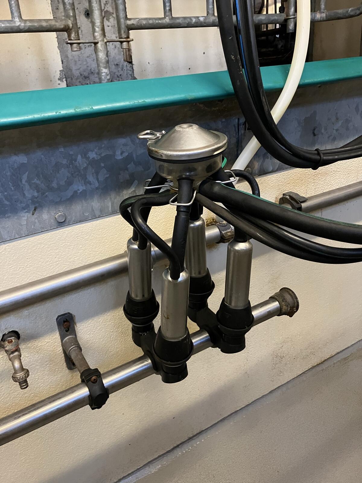 Milkmaster, Waschautomat 2