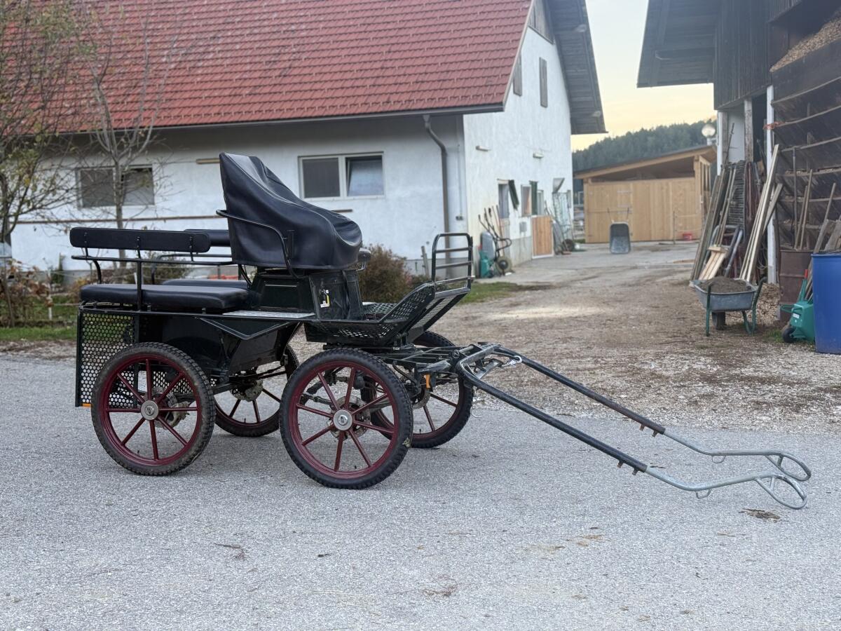 Gebrauchter Trainingswagen Glinkowski 2