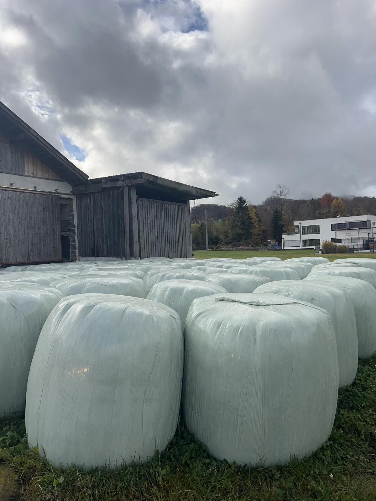 Silageballen zu verkaufen 1