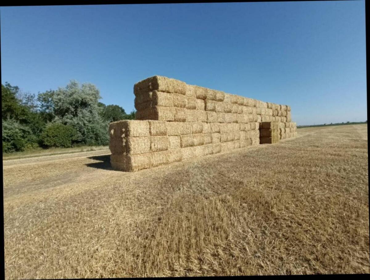 Original österreichisches Weizenstroh mit Bio-Zertifikat 1