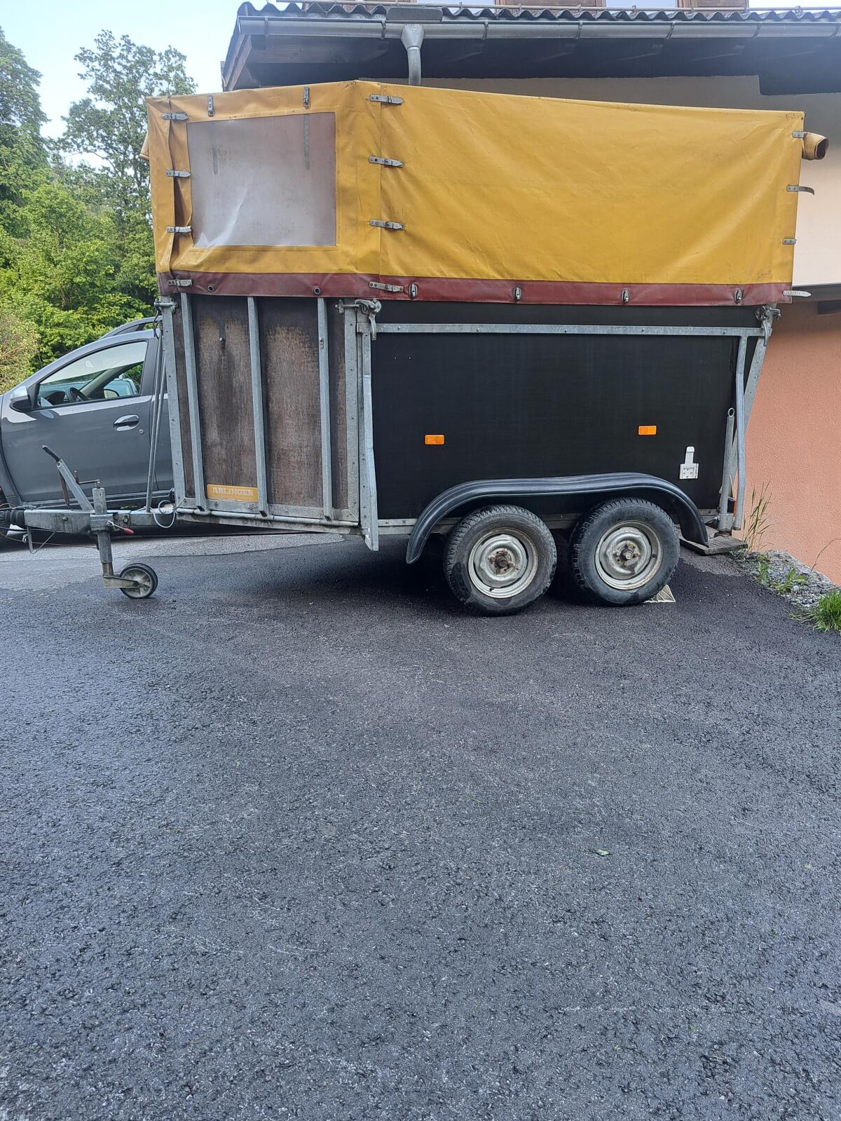 Pferdeanhänger 3
