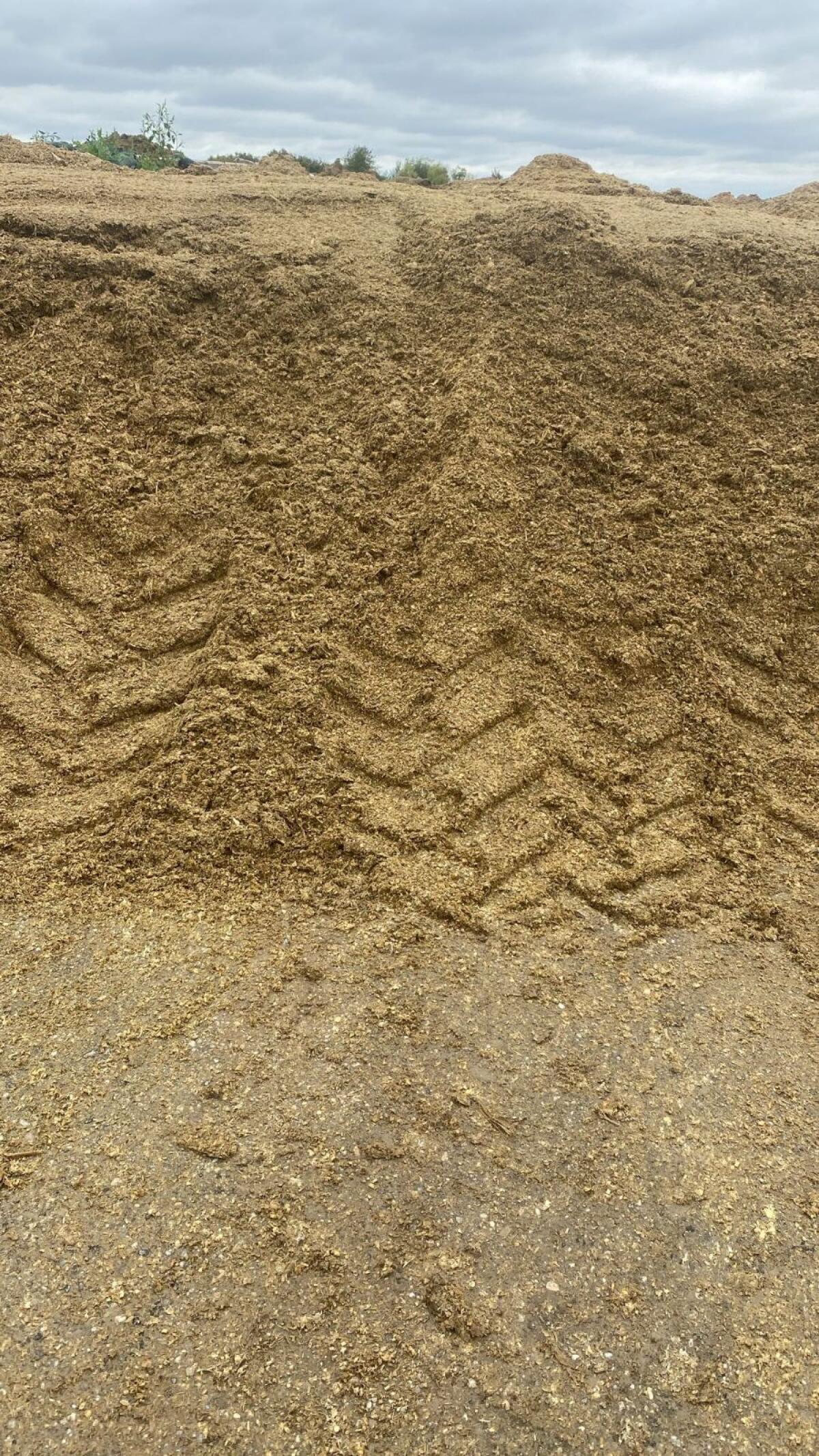 Maissilage zu verkaufen 2