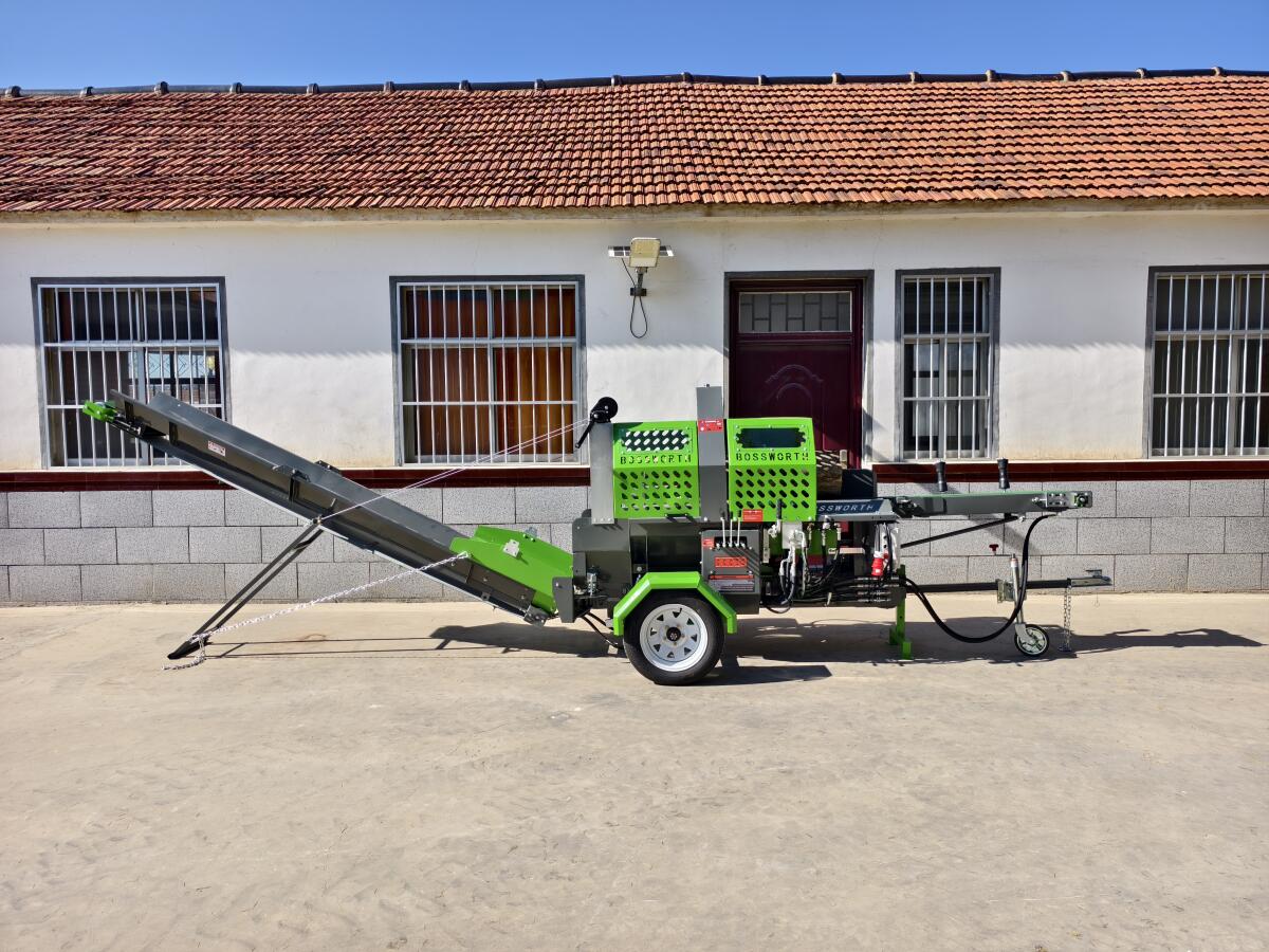 Sägespaltautomat Benzin, Elektro, Zapfwelle, 20 t, Spaltkraft 2