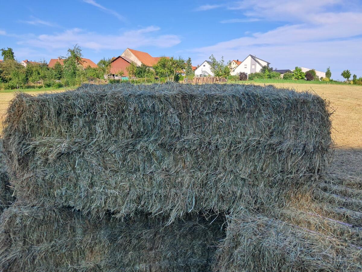 Heu und Grummet - Ernte 2025 2