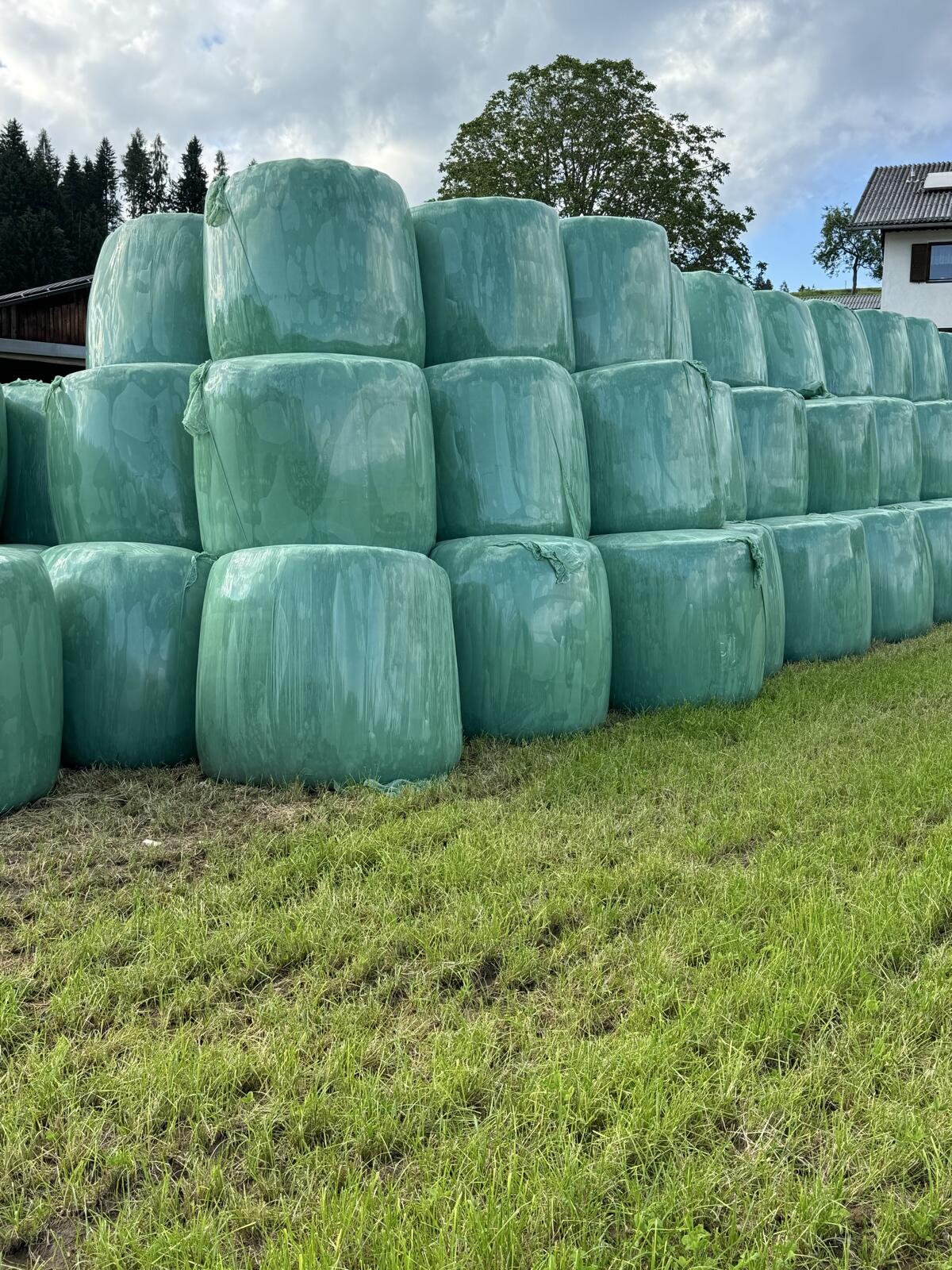 Silageballen 2025 2