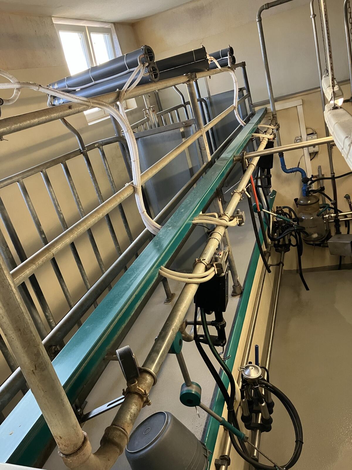 Melkstand 4er AutoTandem 3