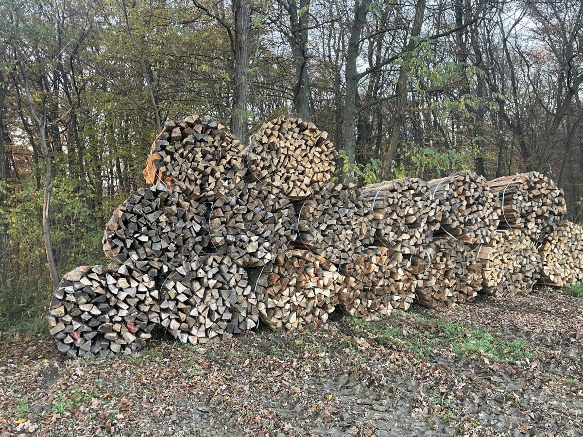 Brennholz 3