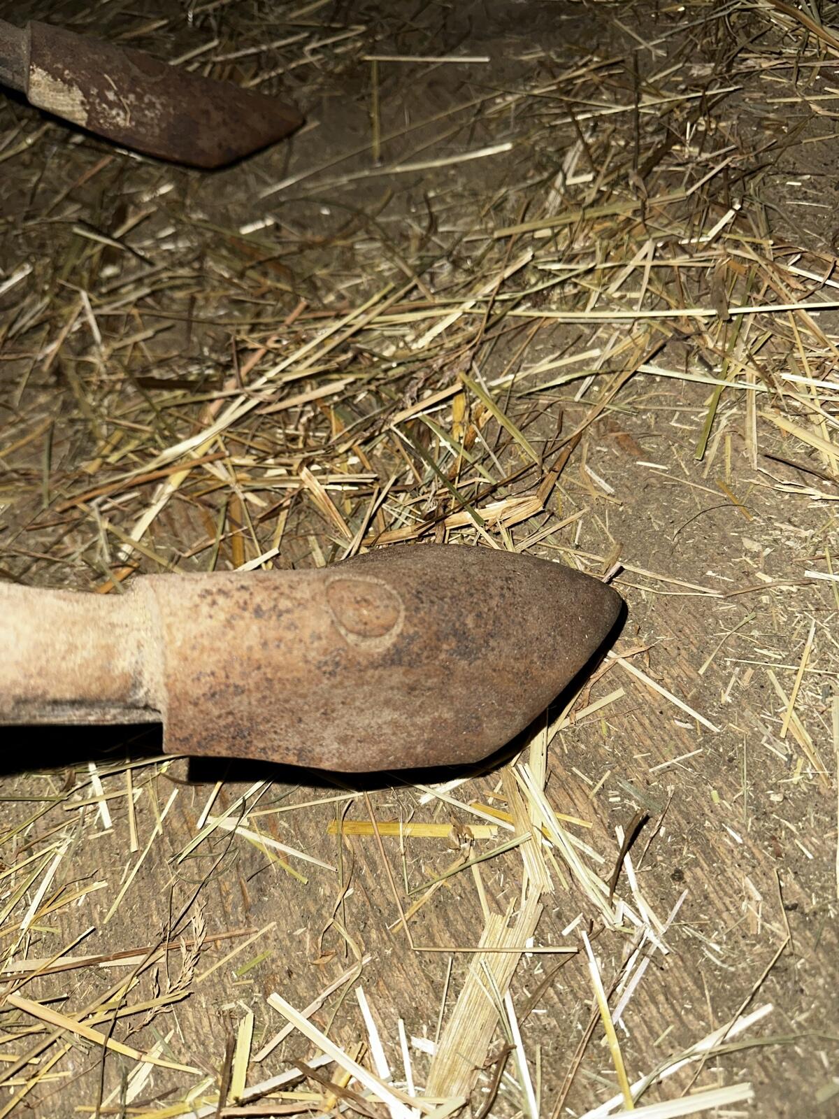 Hatzenbichler Federzinken, Sternwalze - Originalzustand 3