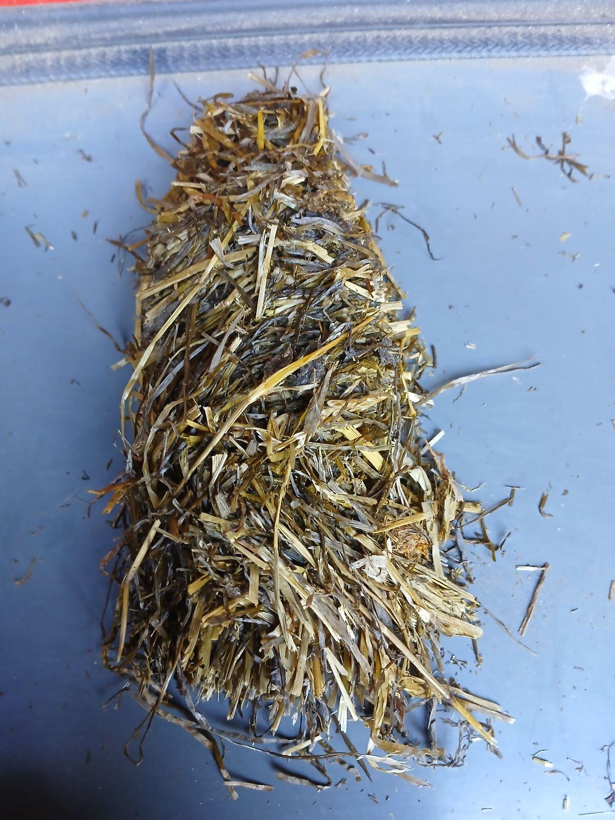 Verkaufe Silage aus Fahrsilo 2