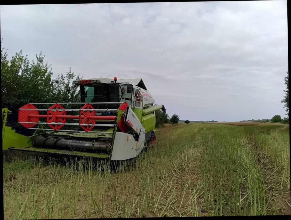 Ziegler Repcetoldat C450 2