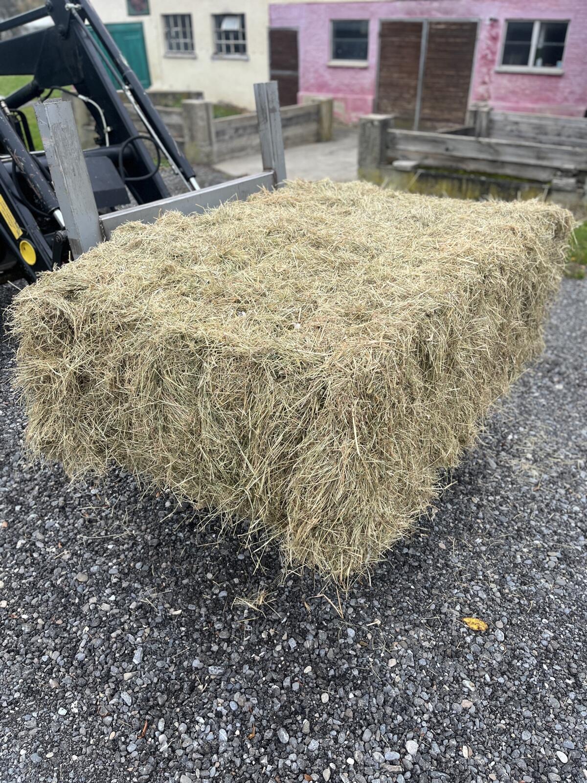 Heu 2025 1. Schnitt 2