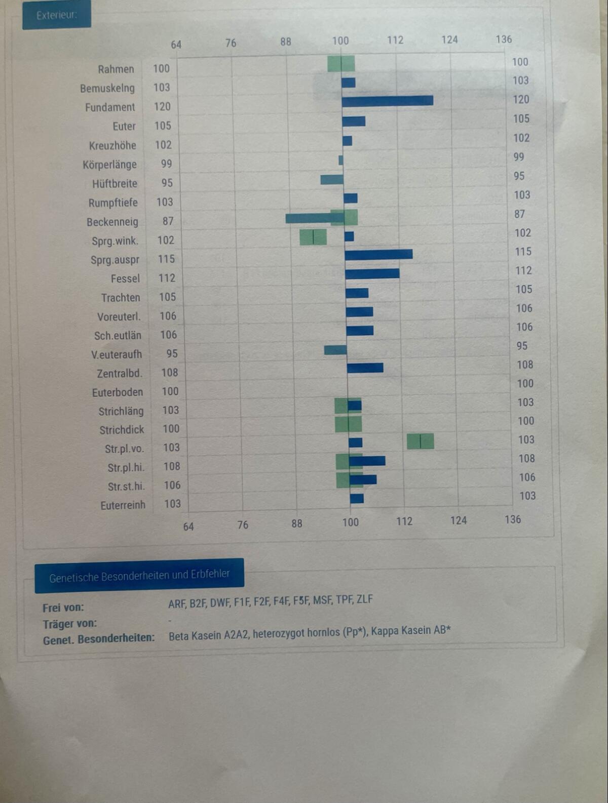 Hornlose Deckstiere 14 Monate 2