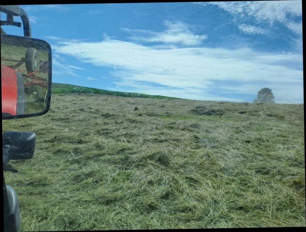 Bio Heu Rundballen, 1. Schnitt Pferdeheu 2