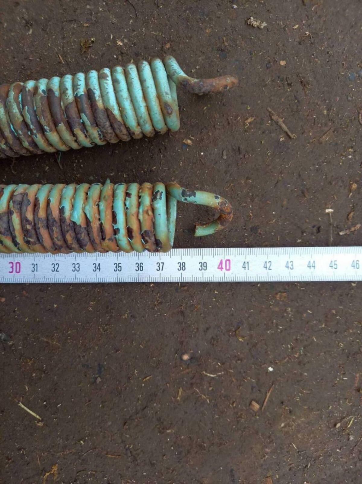 2 Pick-up Ladewagenfedern Lely 2