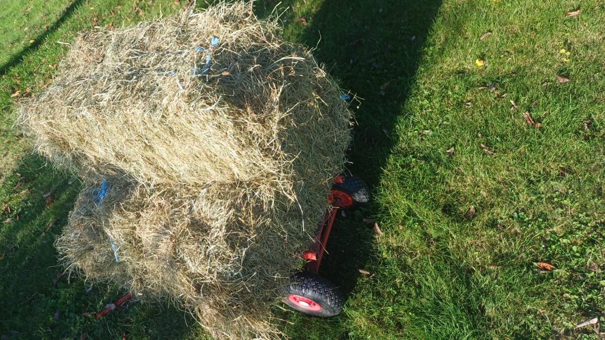 Frisches Heu – 2. Schnitt – gepresst 3