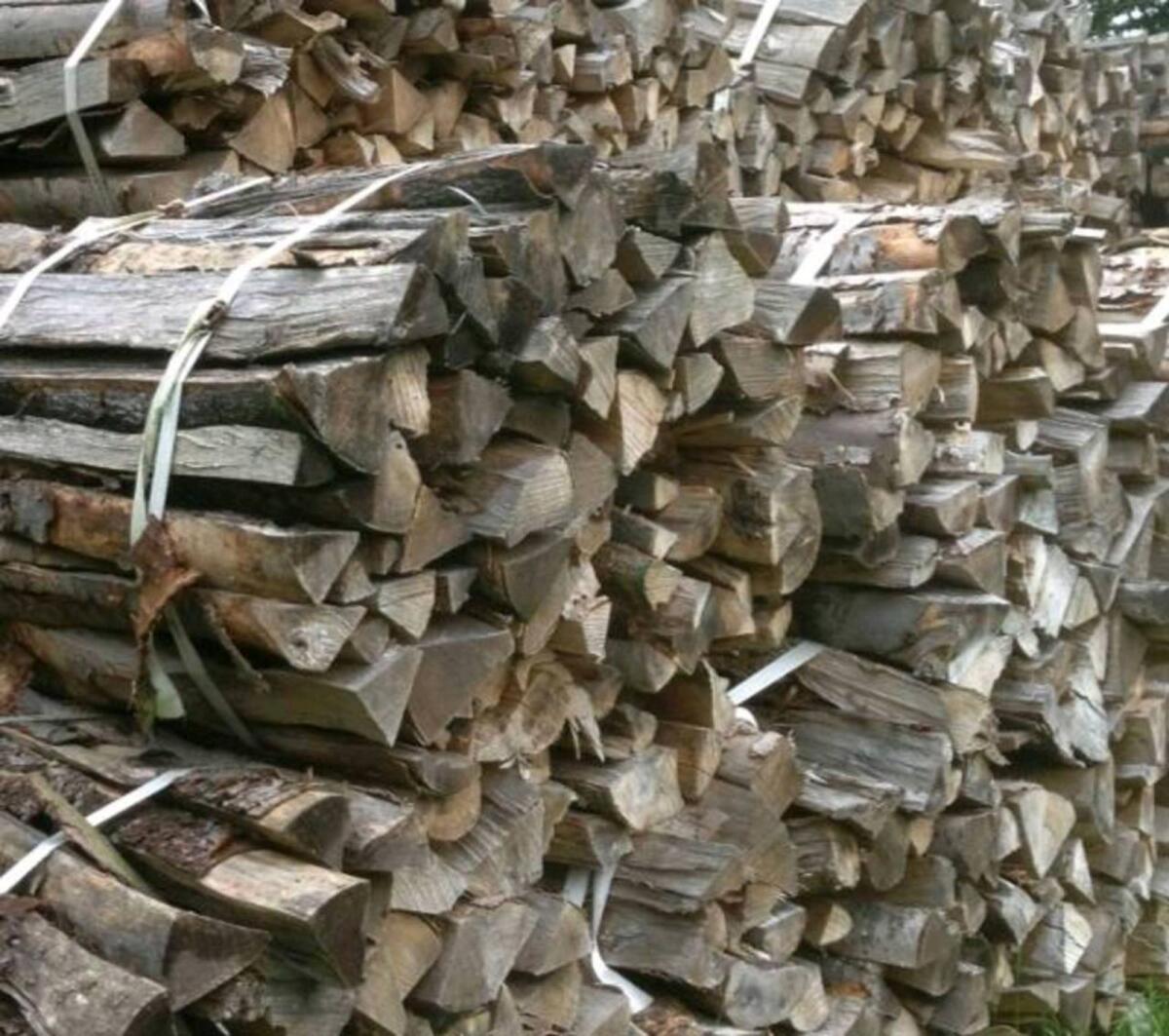 Brennholz Meterscheiter Weichholz 1