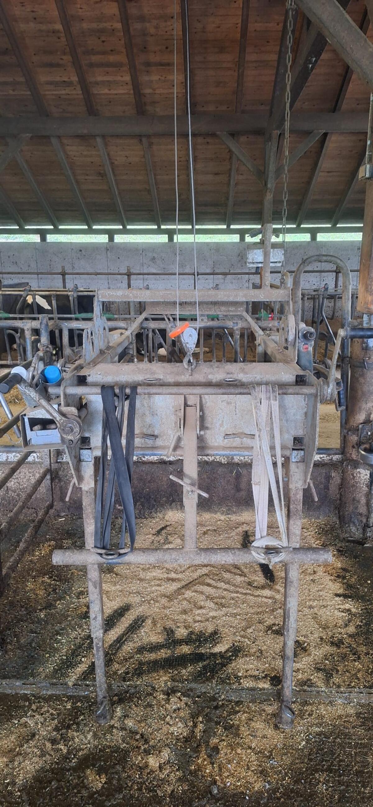 Speedfix Klauenstand 1