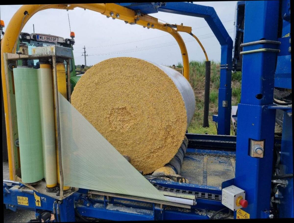 Musmais CCM Nassmais geschrotet 1