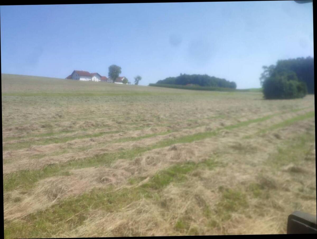 Heu 2025, 1. Schnitt und 2. Schnitt 2