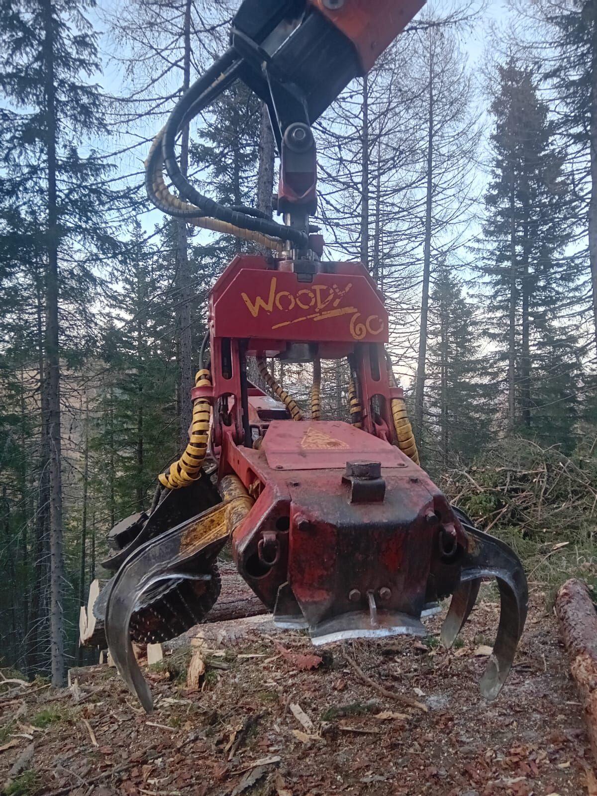 Prozessor Aggregat Woody 60 1