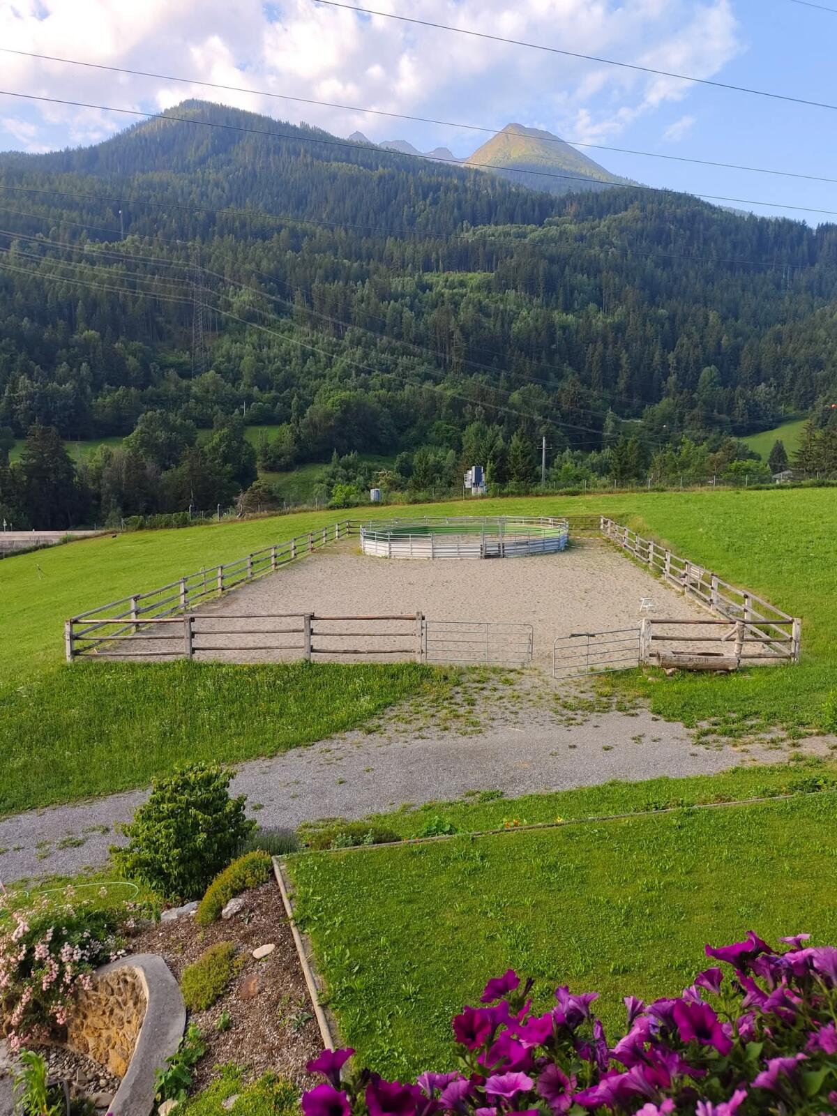 Pferde - Einstellplätze 2