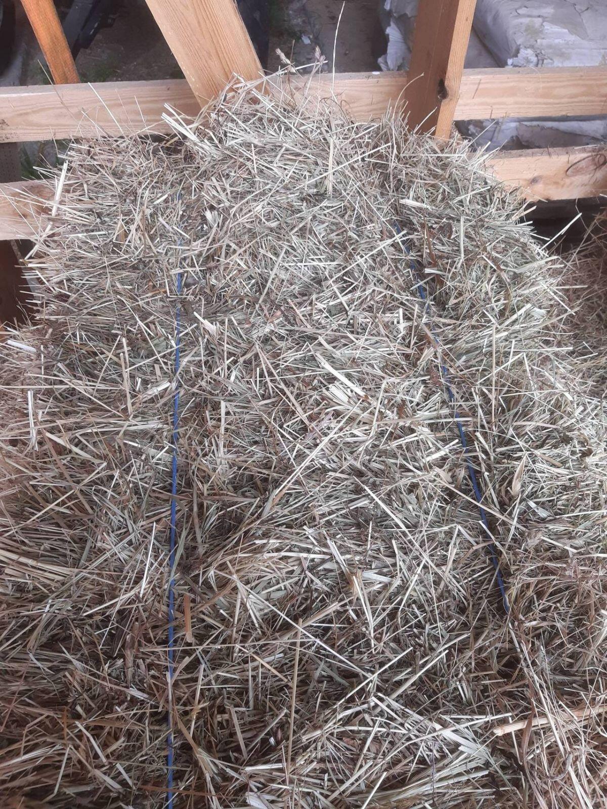 Bio Heu lose in Säcke, Schachtel Kleintierfutter 1