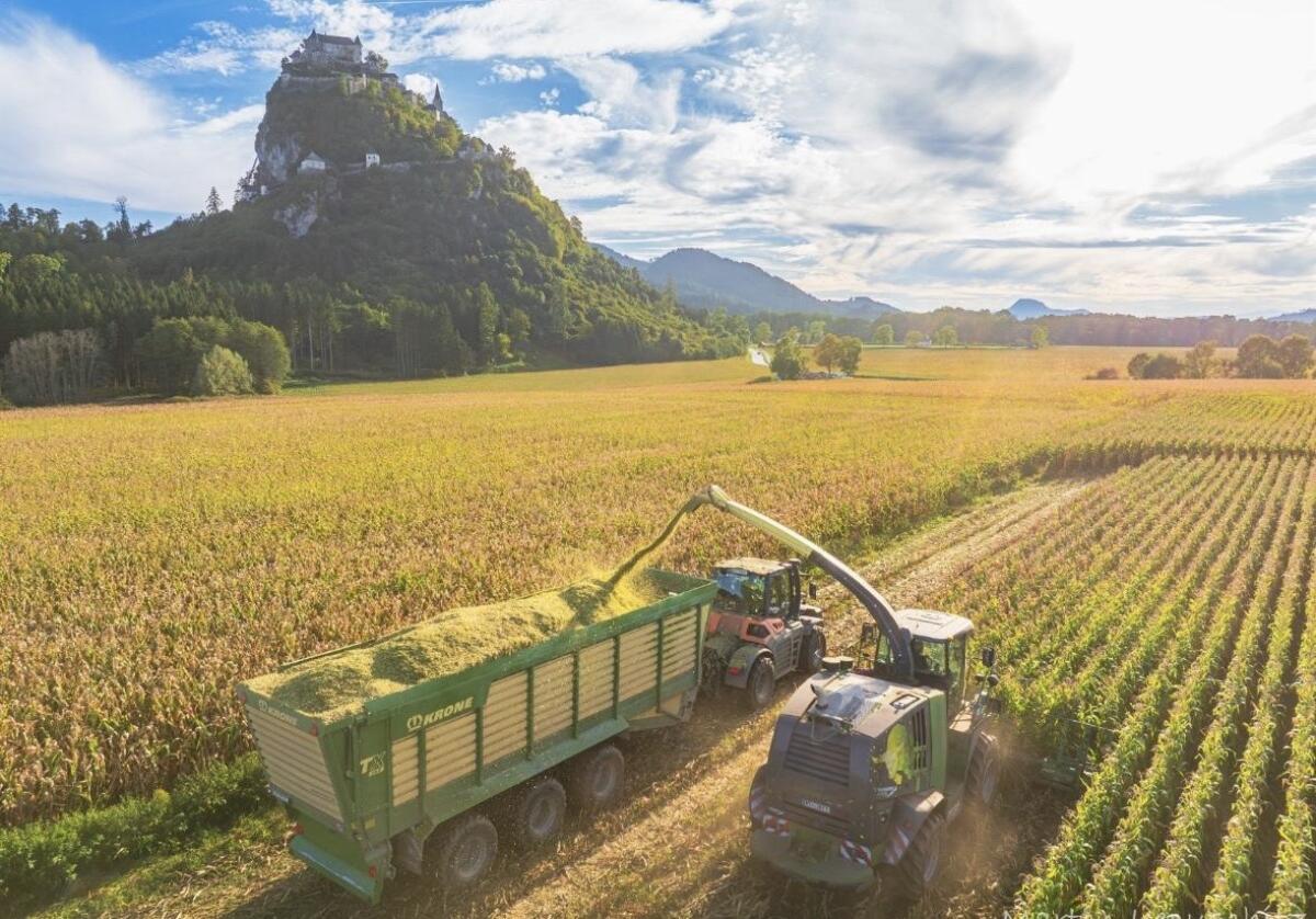 Vermietung oder Verkauf Tridem TX 560 2