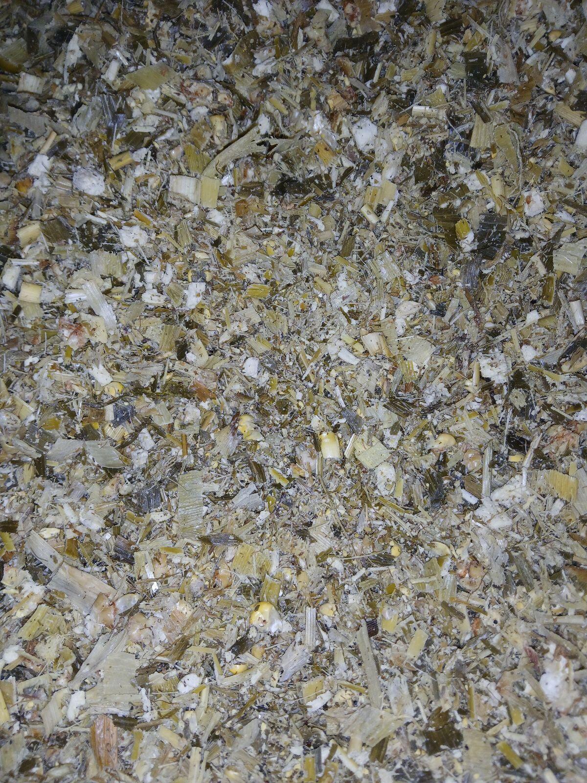 Bio Maissilageballen 1