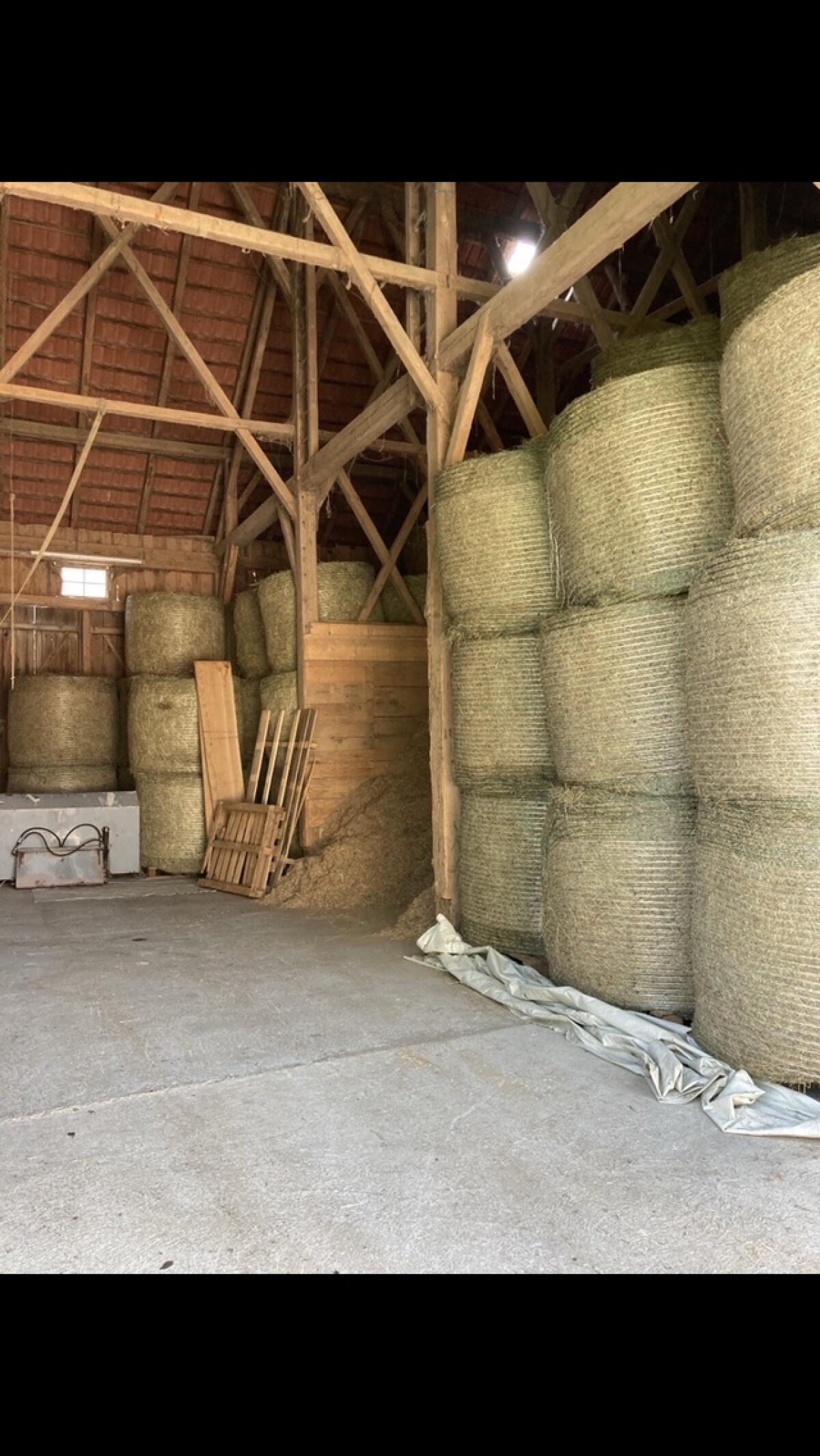 Bio-Heu und Grummet 2