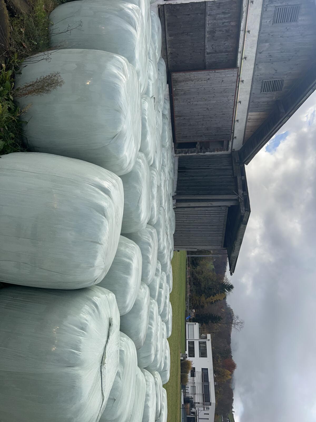Silageballen zu verkaufen 2