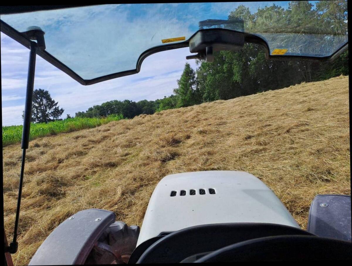 Bio Heu Rundballen, 1. Schnitt Pferdeheu 1