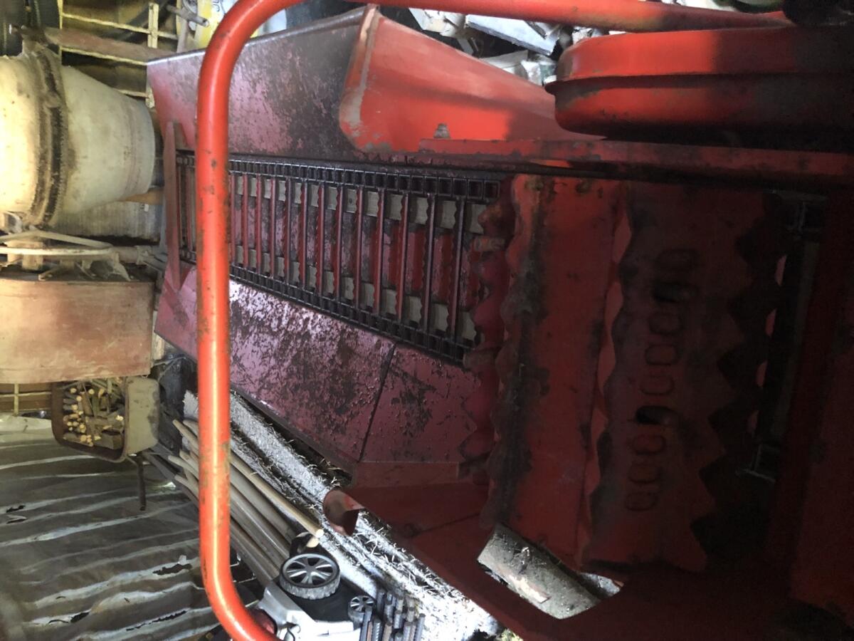 Futtermaschine Epple Buxbaum Werke AG Bisius 600 Super 1