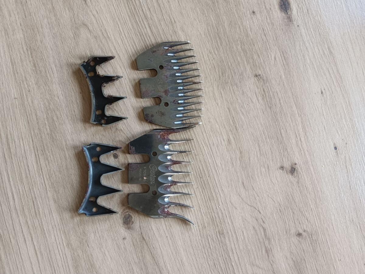 Verkaufe Schafschermaschine Profi 2