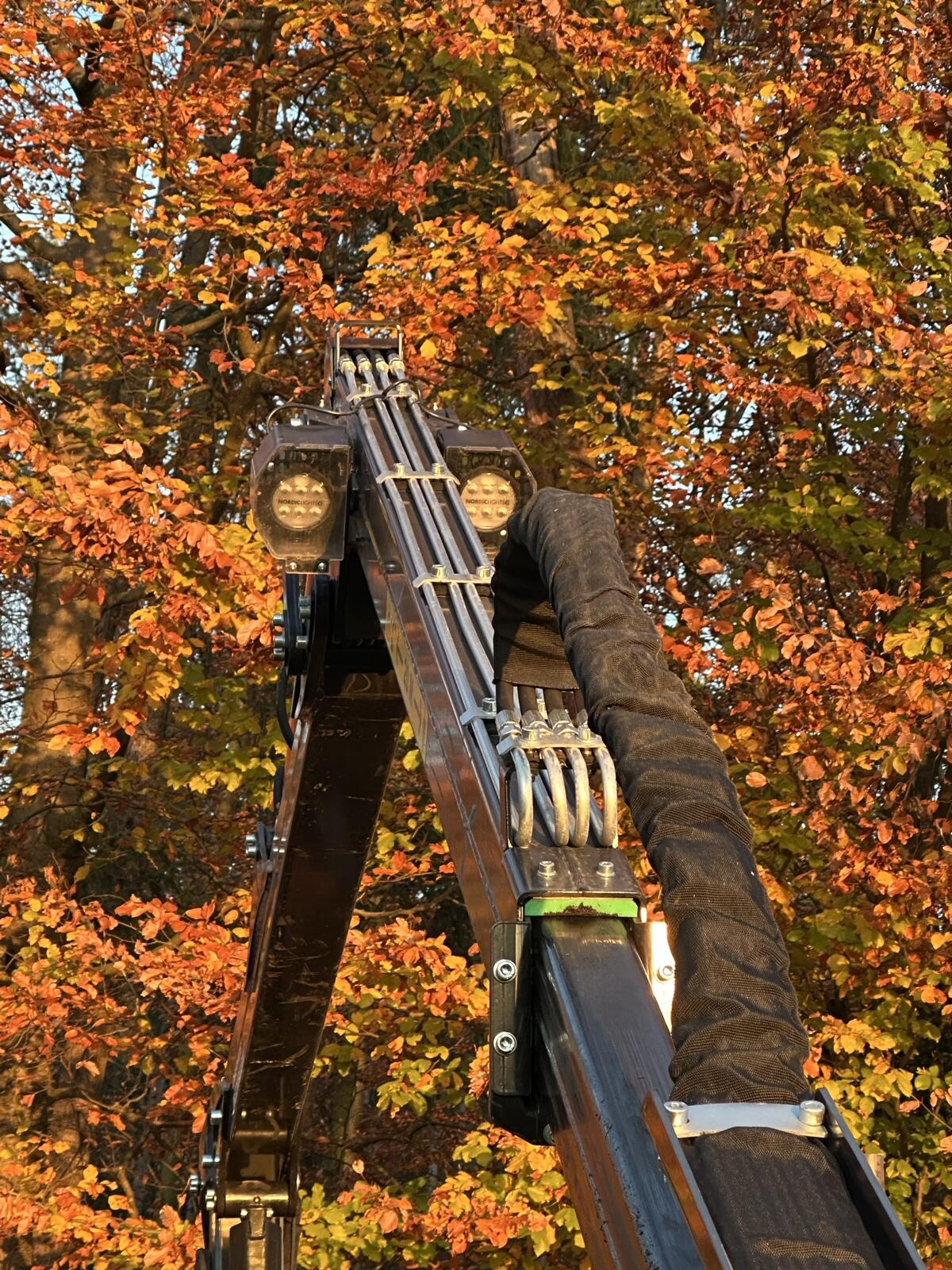 Rückewagen BMG 9 T2 2