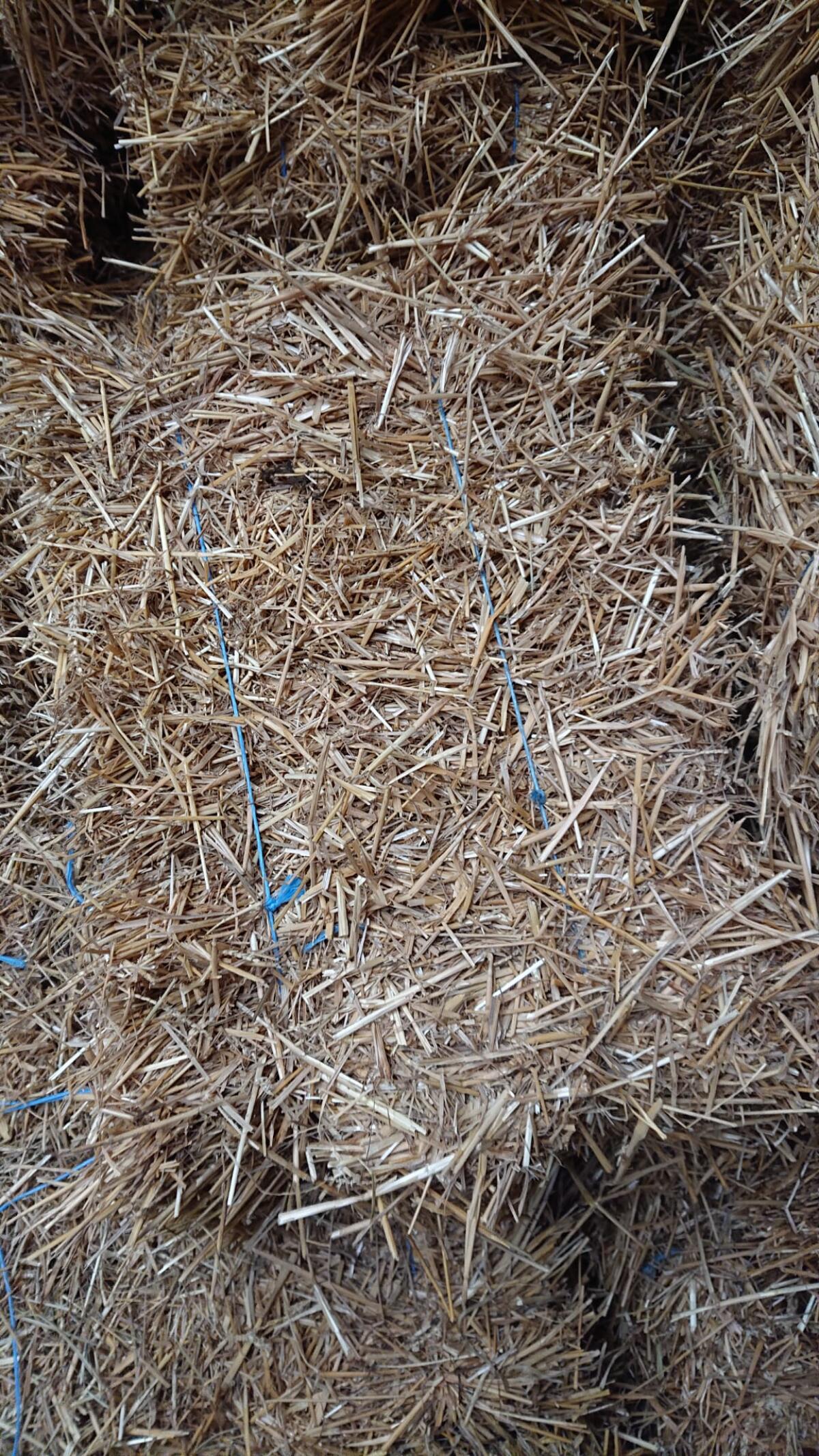 Wiesenheu, Weizen-/Gersten-Stroh, Luzerneheu in Kleinballen 2