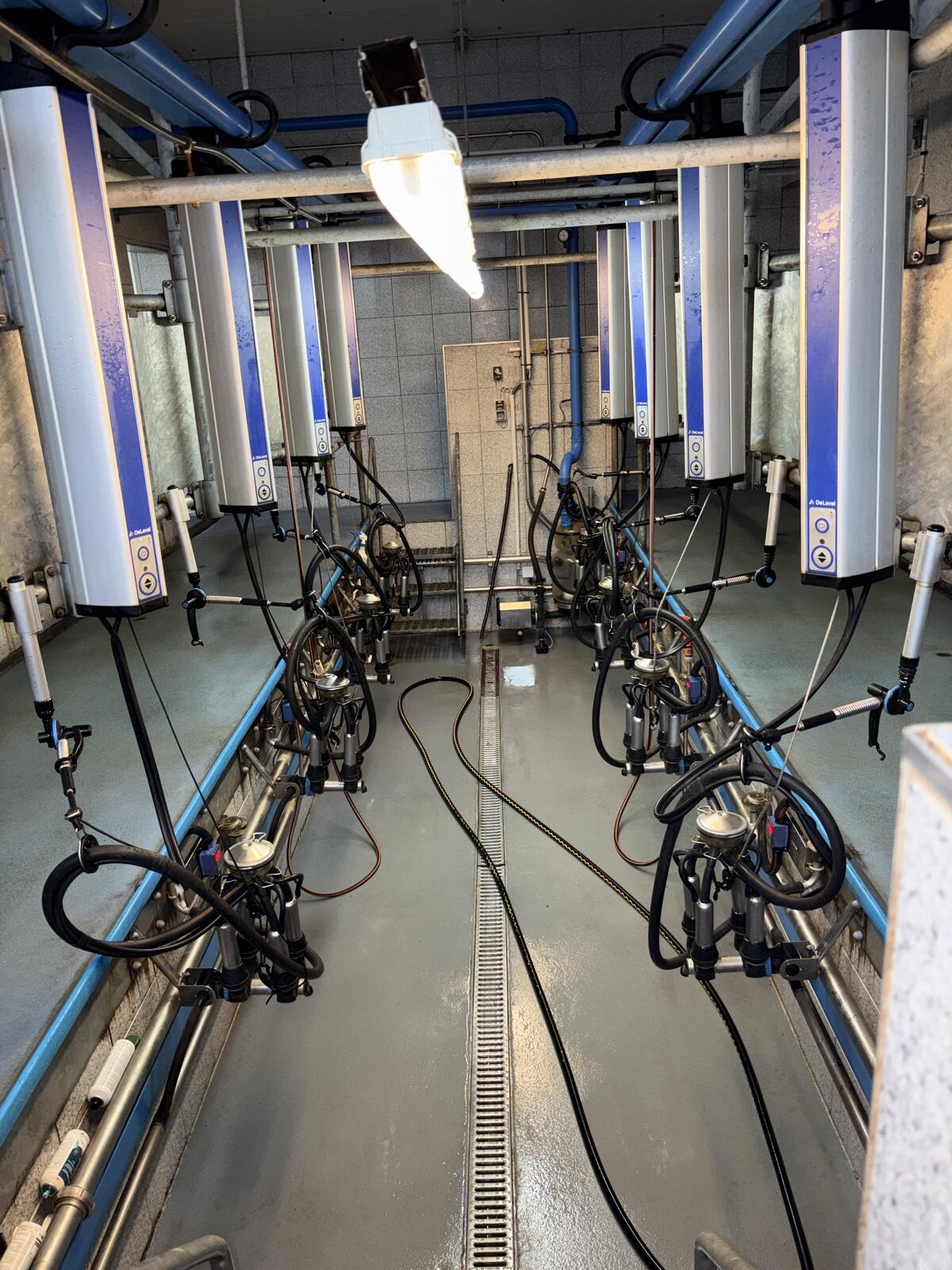 DeLaval Melkstand MP 400 1