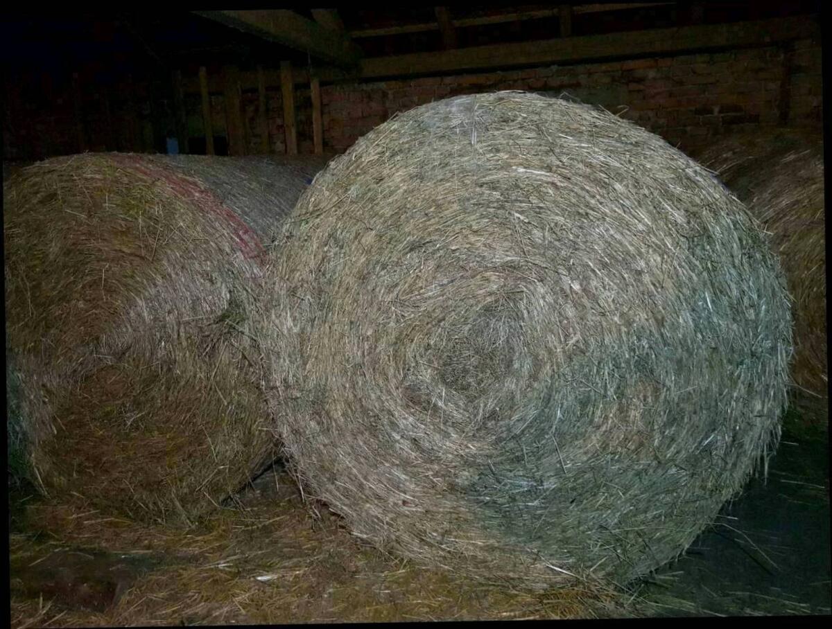 Heuballen 1