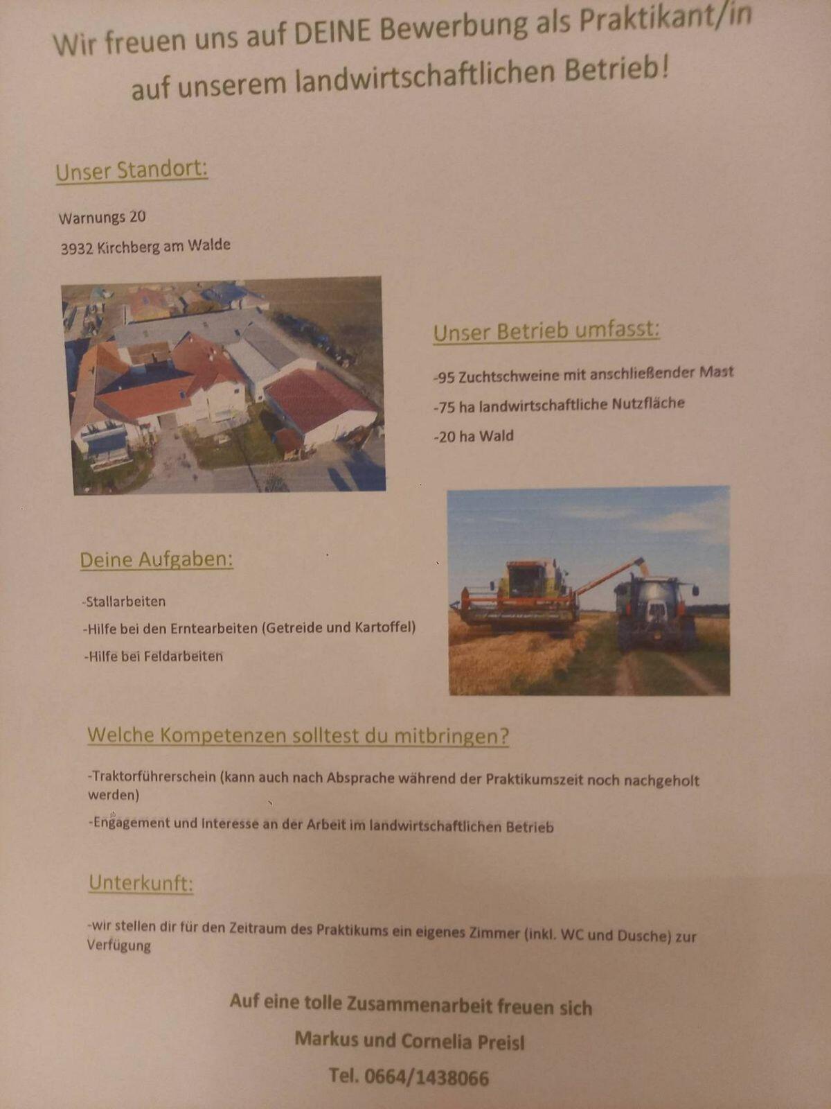 Wir suchen einen Praktikanten/Praktikantin 1