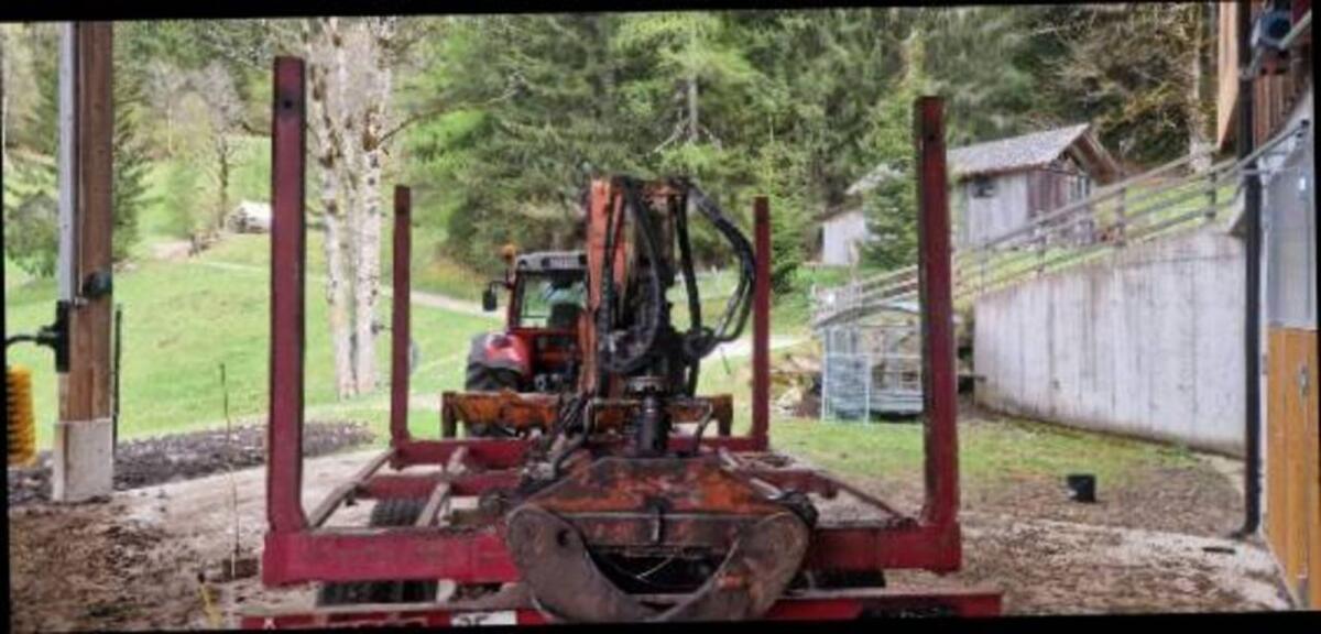 Forstanhänger mit Penz Kran 3