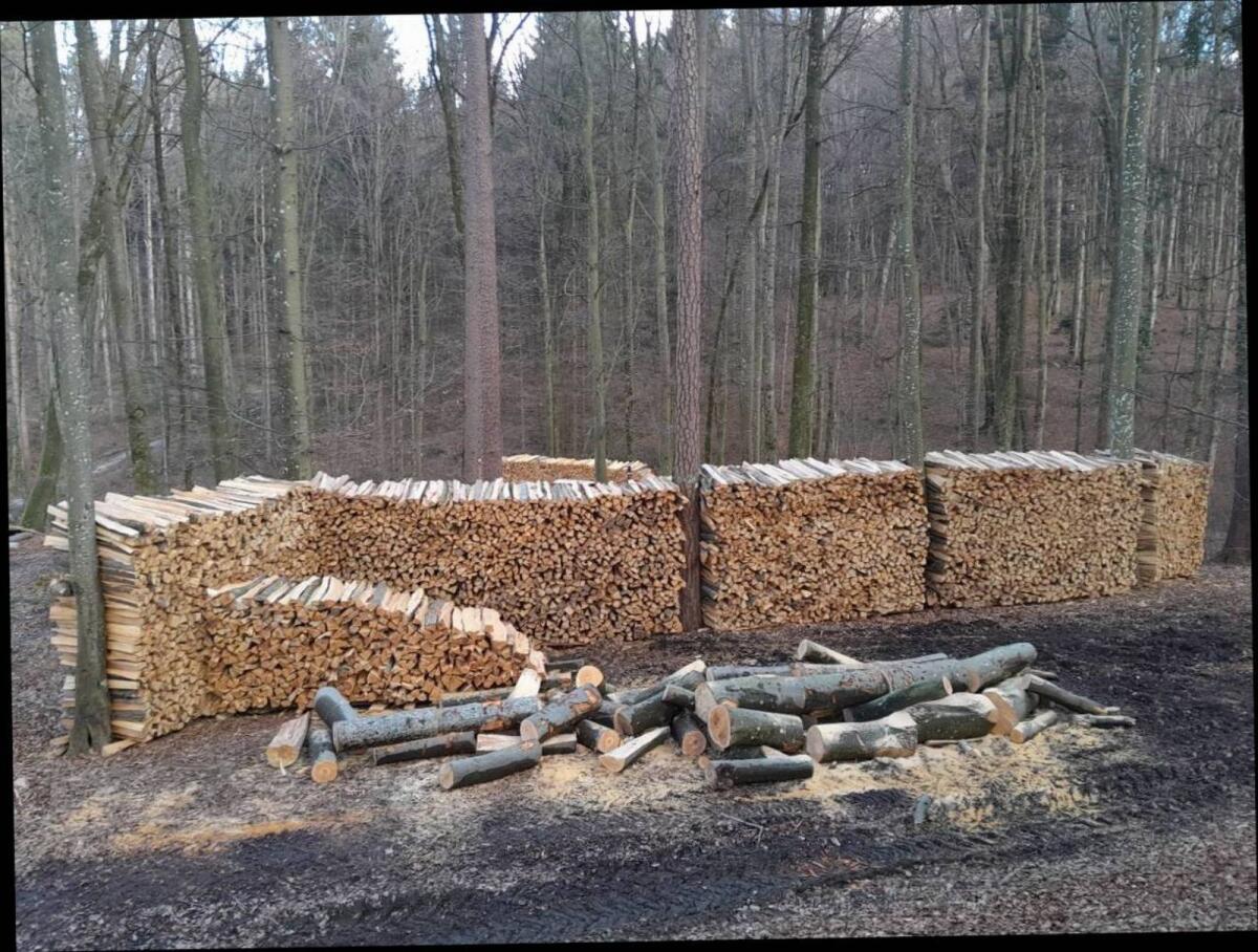 Buchen Brennholz 2