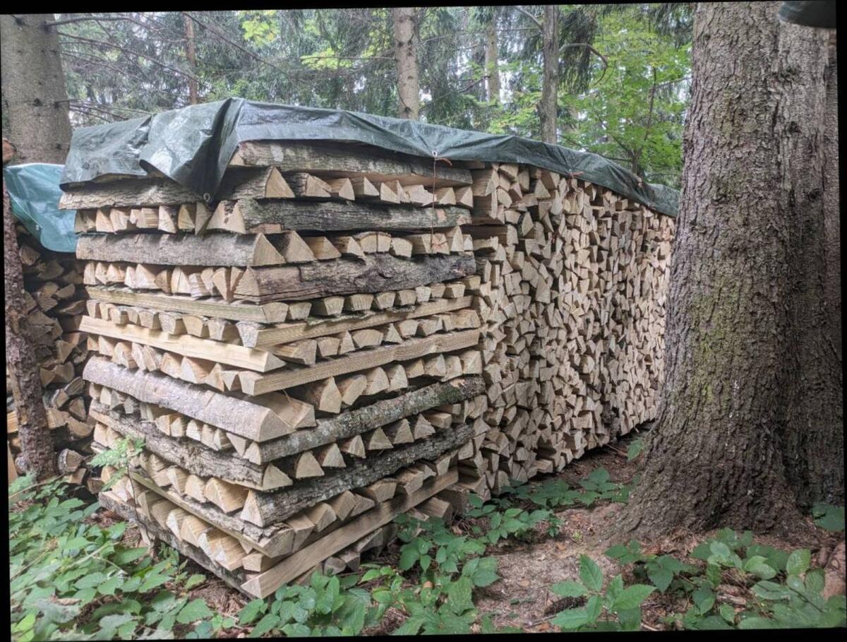 Brennholz, Kaminholz, Hartholz, Esche 1