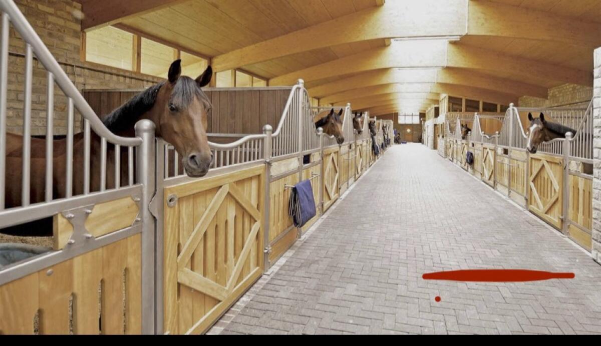 Suche Stall zur Pacht 1