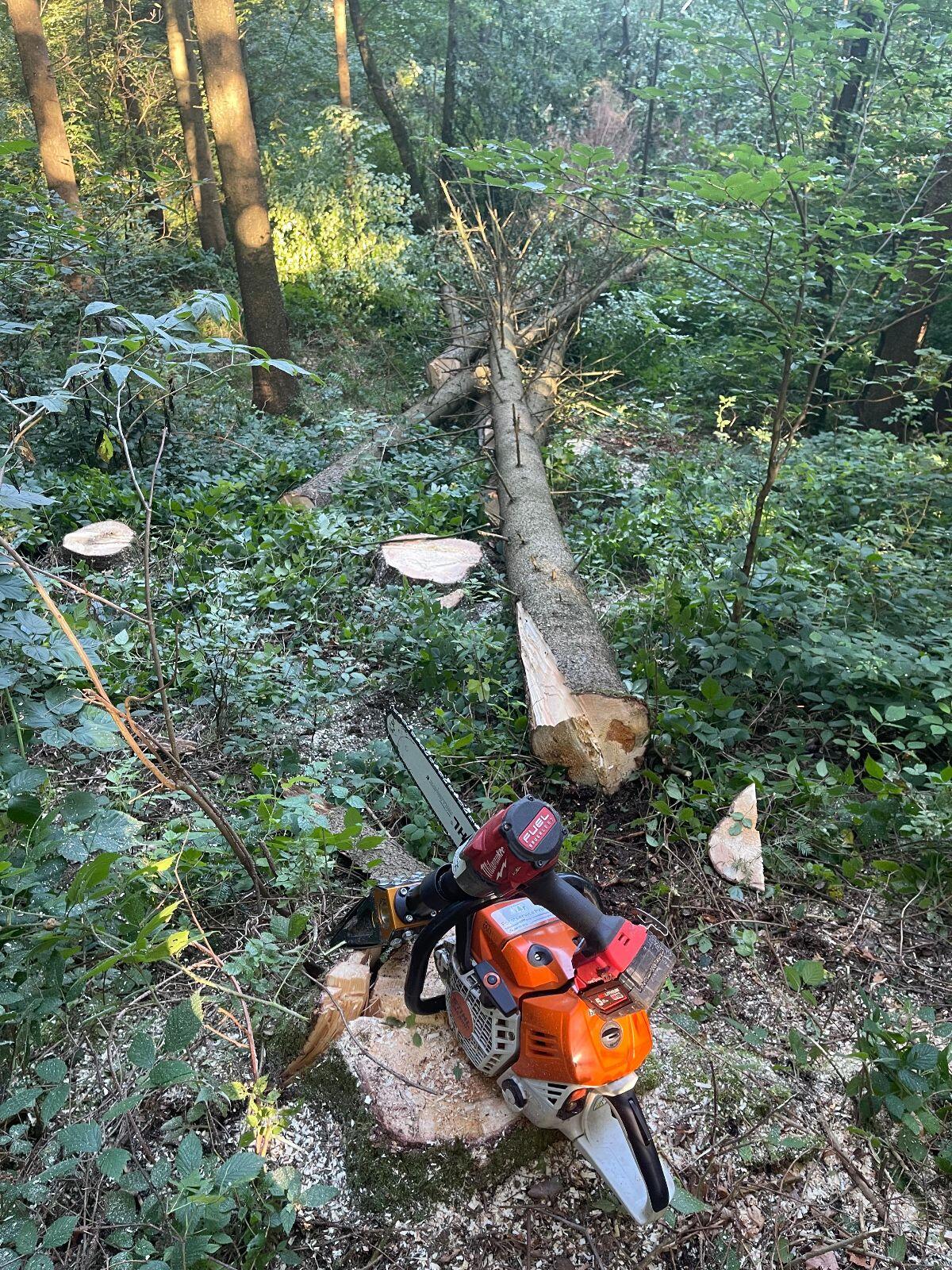 Holzschlägerung, Bringung, Brennholz, Energieholz 3