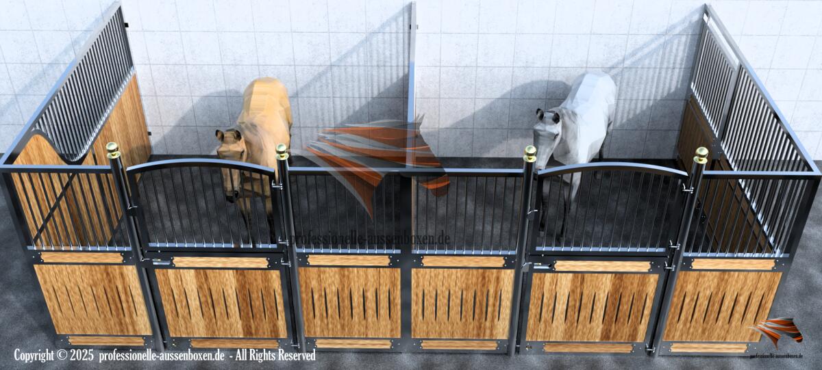 Innenbox - Pferdebox, Stall und Trennwände, Boxenstall Modell LONDON und ROME 3