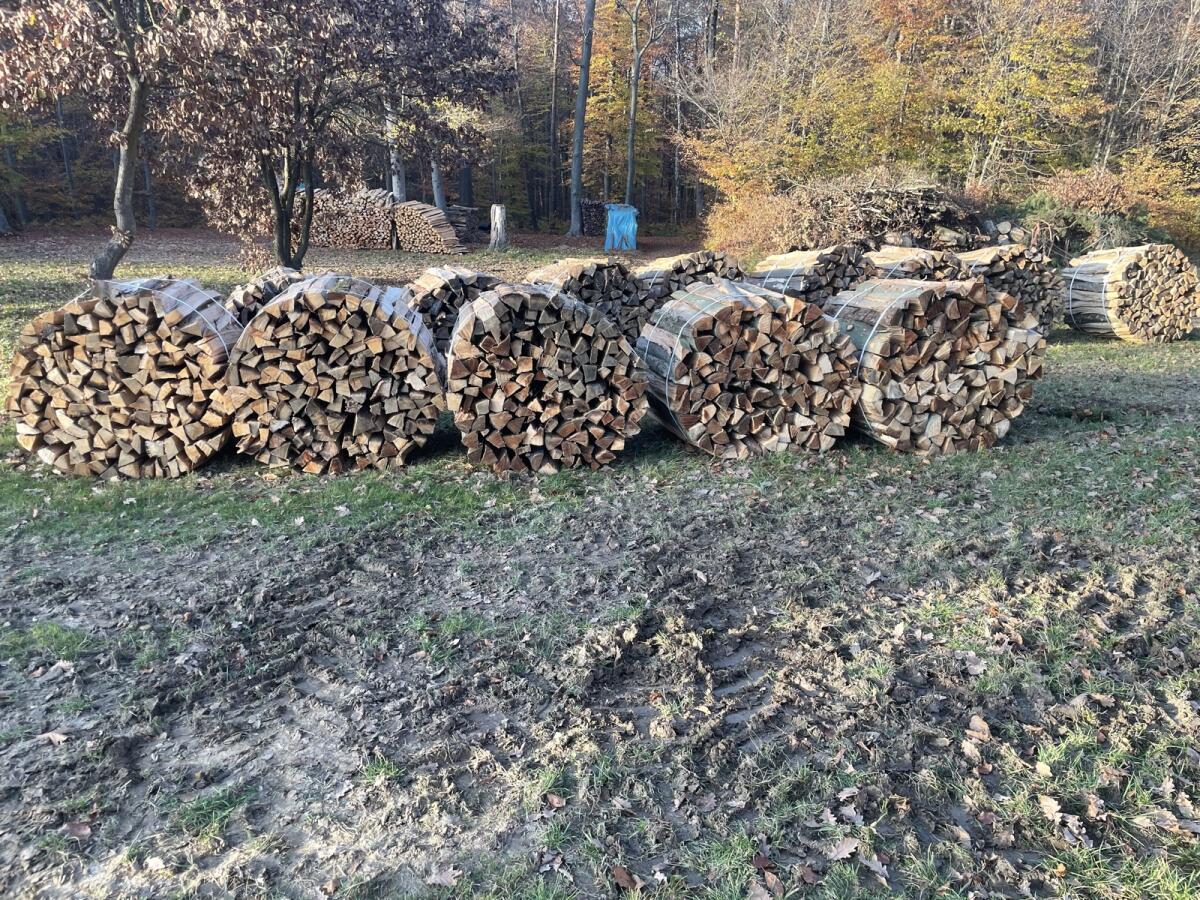 Brennholz 2