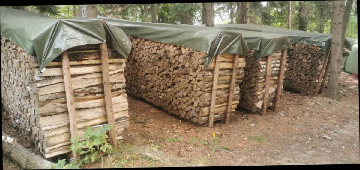 Brennholz, Kaminholz, Smokerholz Birke 3