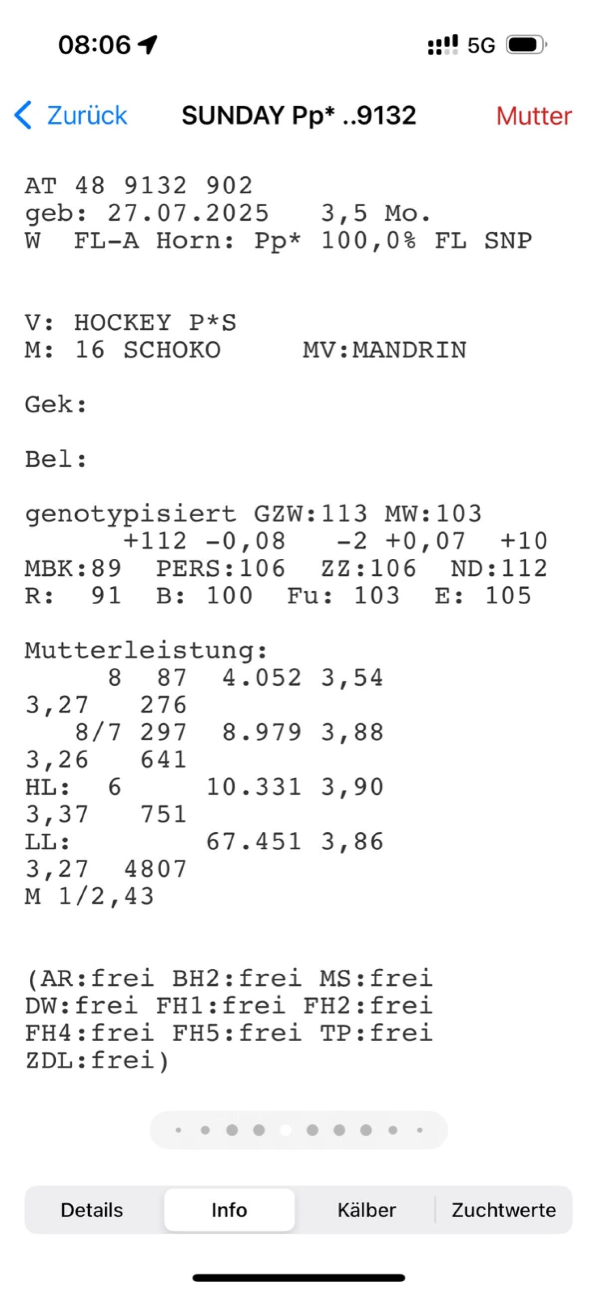Bio Fleckvieh Kälber 2