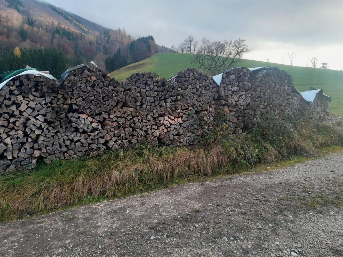 Brennholz, Holzbündel 2