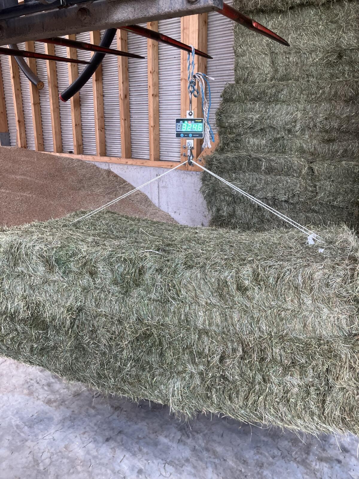 Heu, Grummet, Öhmd, Aumat, belüftet, 3. Schnitt, 4 Wochen 2